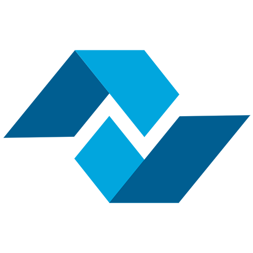 N VIDYA logo