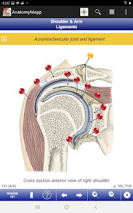 Captura de pantalla d'AnatomyMapp