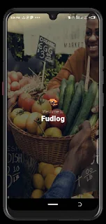 FUDLOG