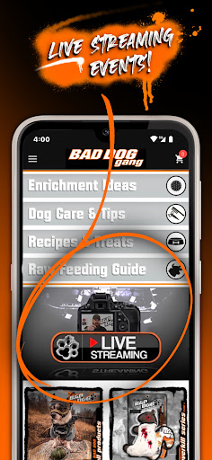 Bad Dog Gang Screen 3