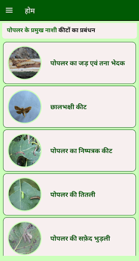 पोपलर कीट Screen 3