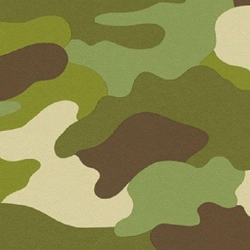 Camouflage wallpapers logo