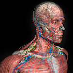 Cover Image of Download 3D Human Anatomy Introduction  APK