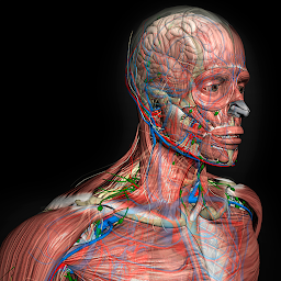 Icon image 3D Human Anatomy Introduction