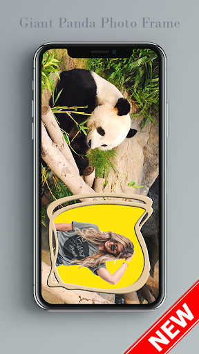 Giant Panda Photo Frame / Panda Photo Editor