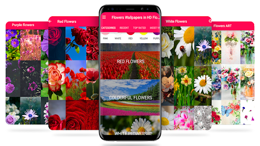 ✿ Flowers wallpapers Beautiful 1.1 APK + Mod (Free purchase) for Android