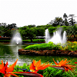 Park Fountains LWP Apk