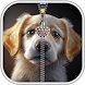 子犬ジッパーロック画面 - Androidアプリ