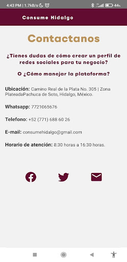 Consume Hidalgo Screen 3