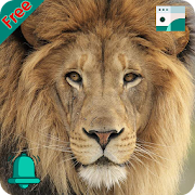 Top 46 Education Apps Like Natural Animal Sounds and HD Wallpaper - Best Alternatives