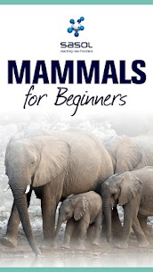 Sasol Mammals for Beginners For PC (Windows 7, 8, 10, Mac) – Free Download 1