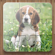 犬ジグソーパズル — 犬のゲーム - Androidアプリ