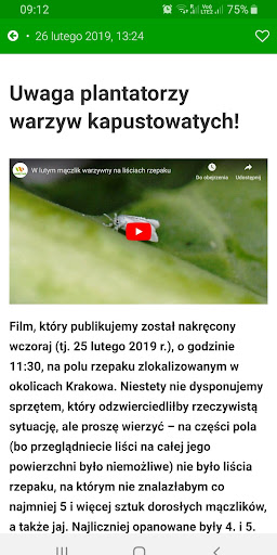 Komunikaty warzywnicze Screen 2