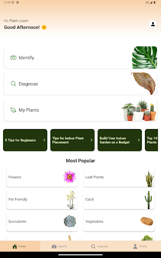 Tree and Plant Identifier