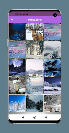 winter night live wallpaper