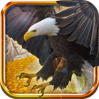 Wild Eagle Fighting Fantasy 3D