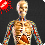 Cover Image of Télécharger Human Anatomy Bones and Internal Organs Anatomical 1.6 APK