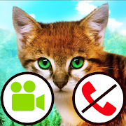 fake call video cat game  Icon