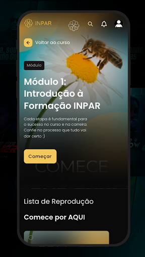 inparflix Screen 3