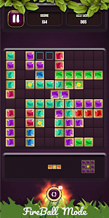 Block Puzzle : Fireball
