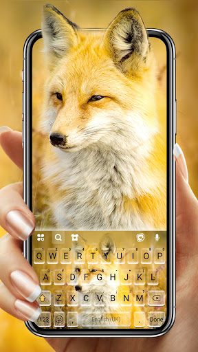 Android application Sweet Fox Keyboard Background screenshort