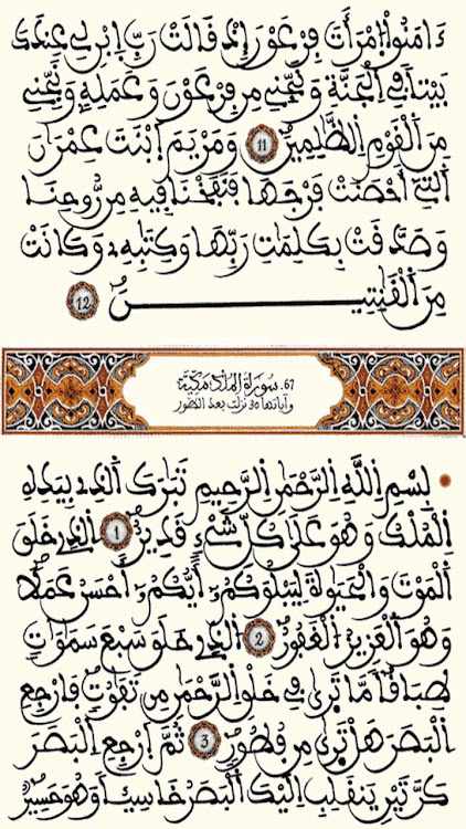 القرآن الكريم - الحسني المسبع - 4.0 - (Android)