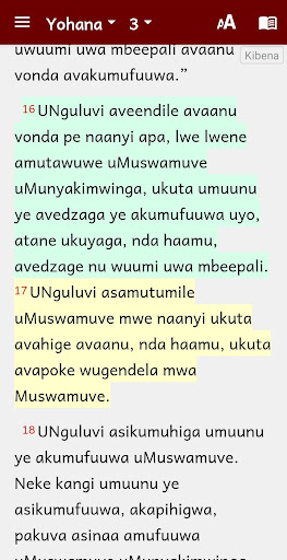 Bena Bible with Swahili NT Screen 2