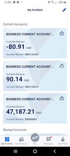 Vidanova Mobile Banking Screen 2