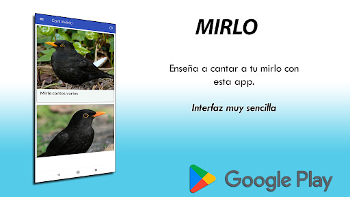 Canto Mirlo V2 Screen 2