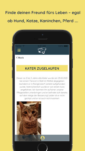 Get Your Pet Screen 3