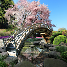 Icon image Sakura Garden Live Wallpaper