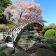 Sakura Garden Live Wallpaper Download on Windows