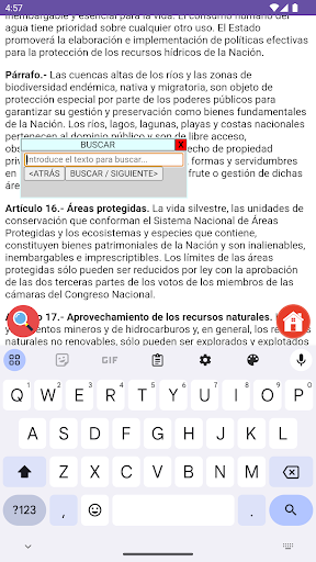 Constitución Dominicana Screen 3