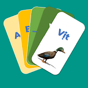 Flashcard - Học chữ cái, số đếm, động vật, hoa quả