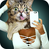 Cat Scanner Pro Face Prank icon