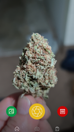 Kush Scan - identify weed thc