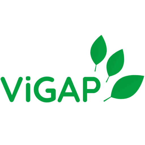 ViGAP logo