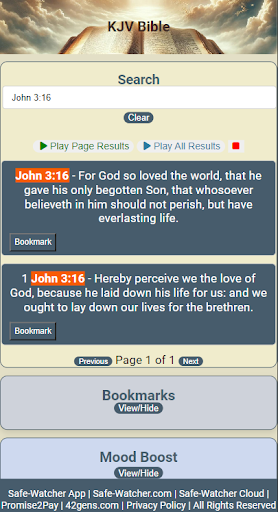 Holy Bible Screen 2