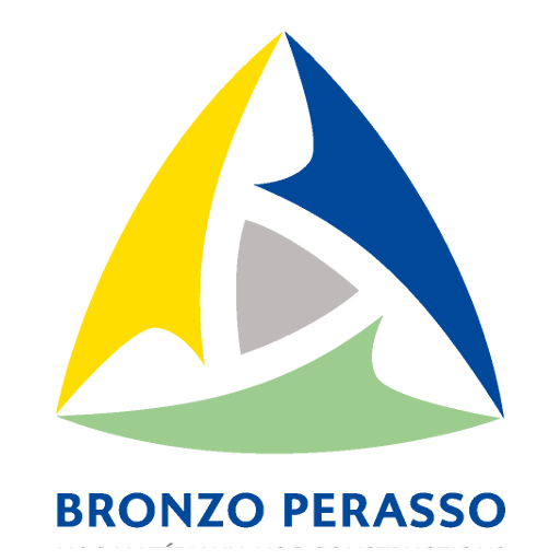 Bronzo Perasso Wayzz logo