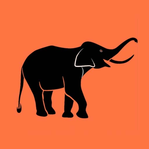 Damaresi Shopping logo