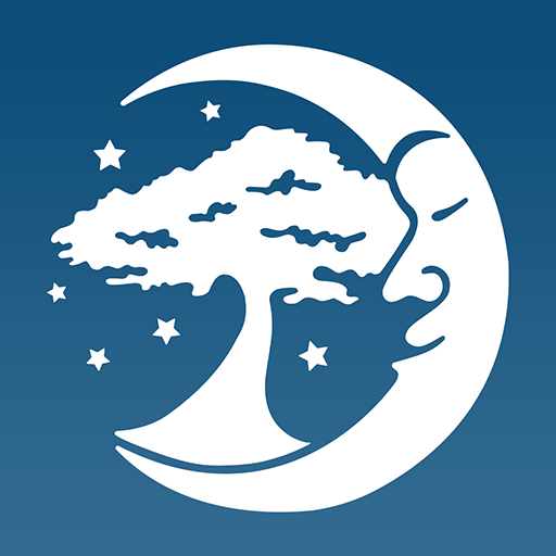 Dreaming Tree logo