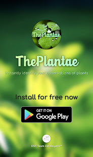 The Plantae - Plant identification