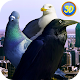 City Birds Simulator دانلود در ویندوز