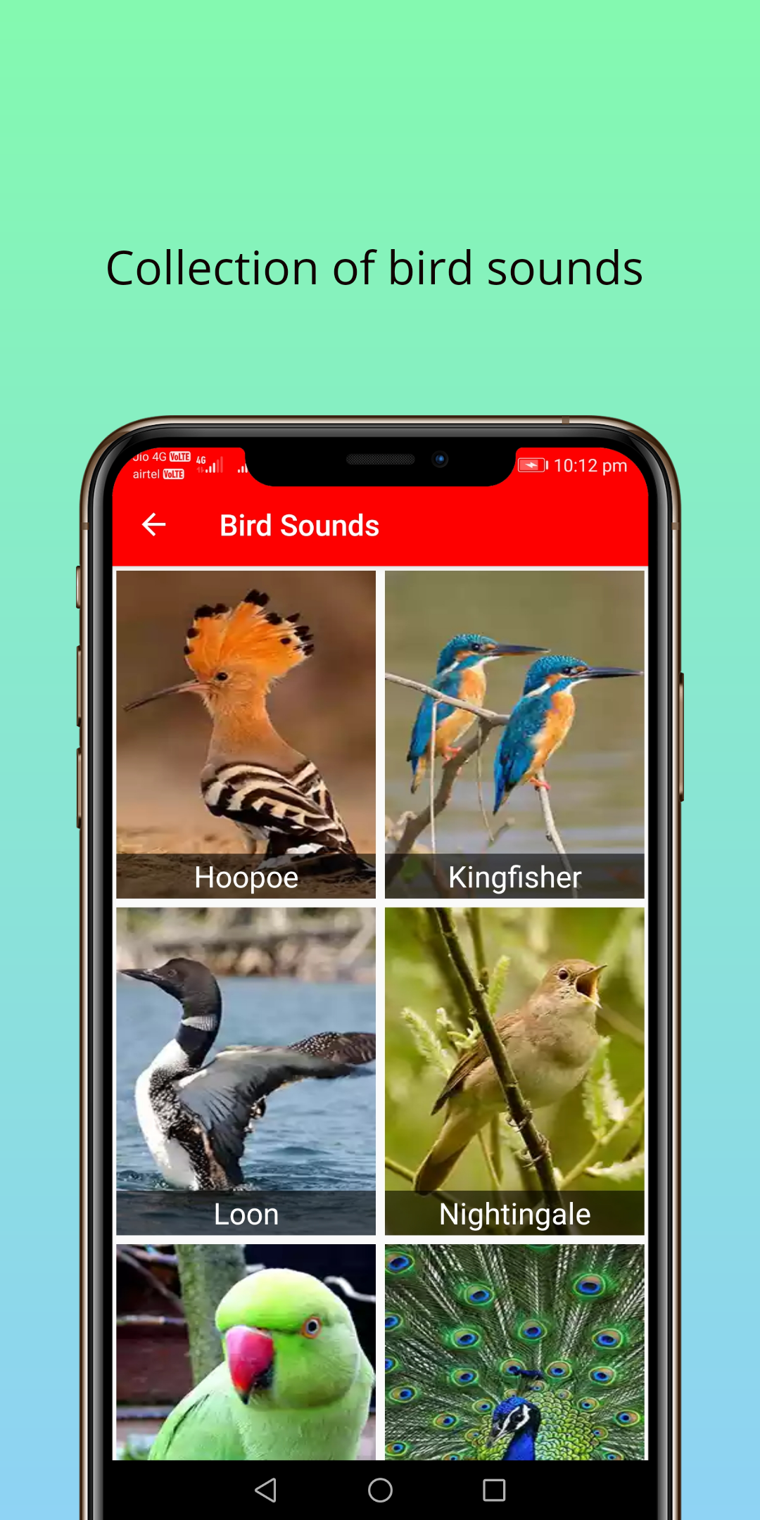 Android application 150 Animal Sounds screenshort