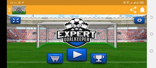 Expert Goalie