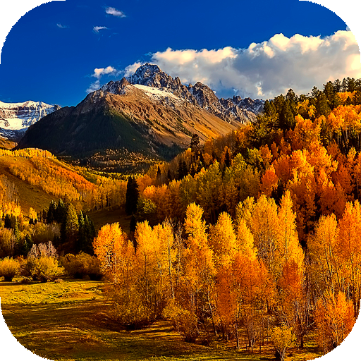 Autumn wallpaper logo