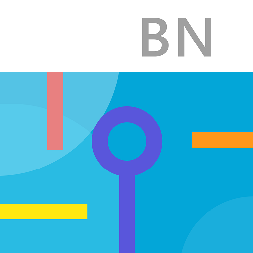 The Bank Network logo