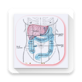 Learn Abdominal Radiological Findings icon