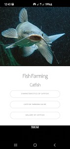 Catfish Guide - Farming, Care, Unknown
