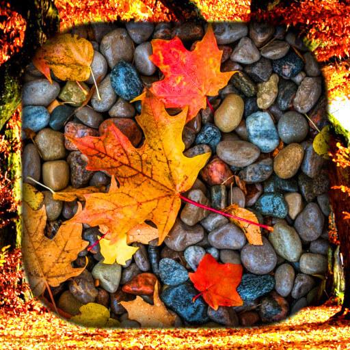 Autumn Wallpaper Live HD/3D/4K 3.0.0 Icon